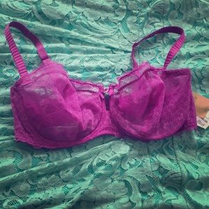 Chantelle Fuchsia Bra 38DD NWT